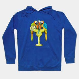 Parrots Drinking Margarita Funny Hawaii And Bird Lover Gift Hoodie